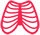 Toracica_coral
