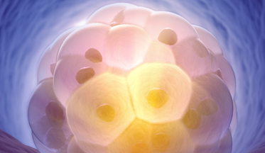 Diagnostico-genético-de-preimplantación