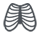 Toracica_negro_2
